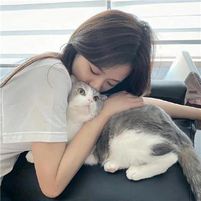 持续更新
